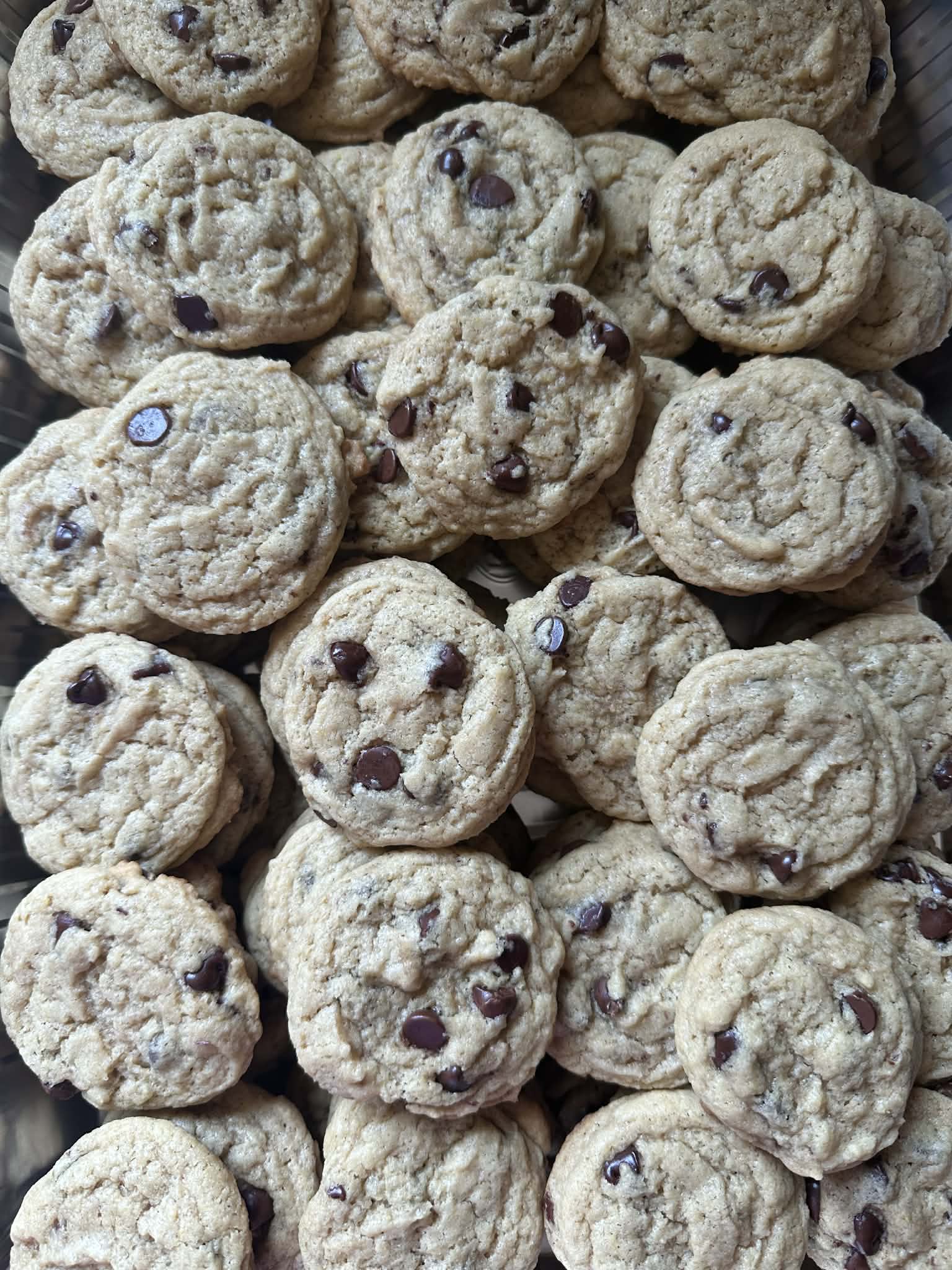 Chocolate Chip Cookies (8 Pack)